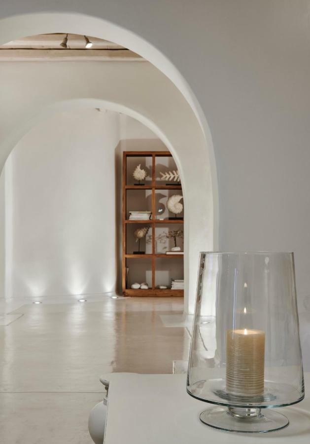 Grace Villa Tínos Extérieur photo